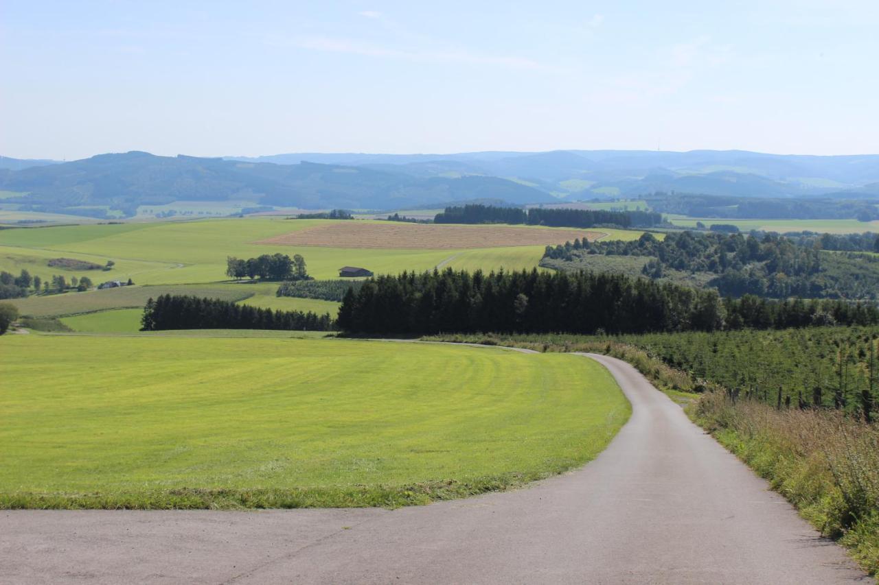 אסלוה Haus Bergeshoeh Hochsauerland מראה חיצוני תמונה